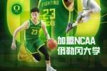 媒体人：若林葳回来打全运会 势必影响其与俄勒冈大学之间的磨合